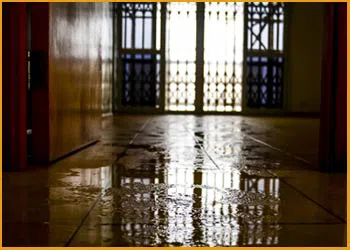 Hallandale Beach Restoration Company Hallandale Beach, FL 954-379-2883 - flood